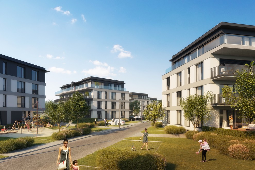 Vizualizace projektu 1